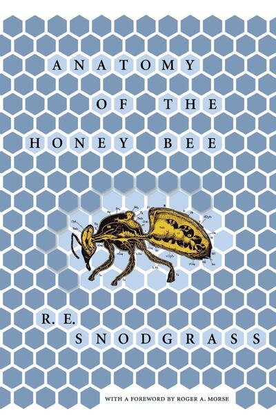 Anatomy of the Honey Bee - R. E. Snodgrass - Libros - Cornell University Press - 9780801404009 - 31 de julio de 1956