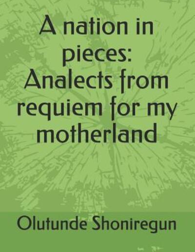 Cover for Dr Olutunde a Shoniregun · A nation in pieces (Paperback Book) (2019)