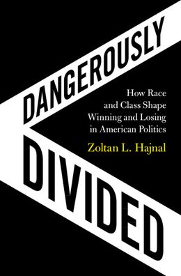 Cover for Hajnal, Zoltan L. (University of California, San Diego) · Dangerously Divided: How Race and Class Shape Winning and Losing in American Politics (Hardcover Book) (2020)