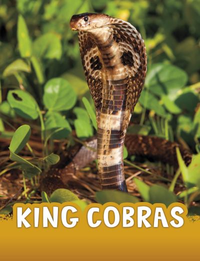 Cover for Jaclyn Jaycox · King Cobras - Animals (Paperback Book) (2024)