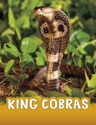 Cover for Jaclyn Jaycox · King Cobras - Animals (Paperback Bog) (2024)