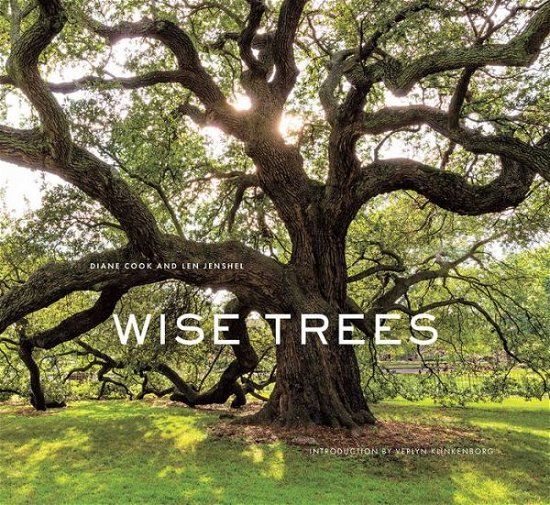 Cover for Diane Cook · Wise Trees (Inbunden Bok) (2017)