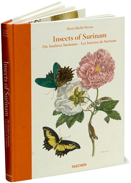 Insects of Surinam - Maria Sibylla Merian - Books - Taschen - 9781435129009 - September 1, 2010