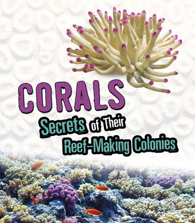 Cover for Rebecca Stefoff · Corals: Secrets of Their Reef-Making Colonies - Amazing Animal Colonies (Paperback Book) (2020)