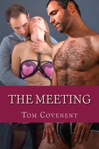 The Meeting - Tom Covenent - Böcker - CreateSpace Independent Publishing Platf - 9781502382009 - 15 september 2014