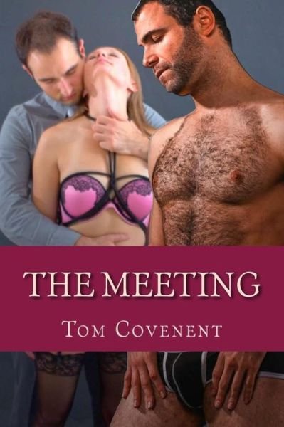 Cover for Tom Covenent · The Meeting (Paperback Bog) (2014)