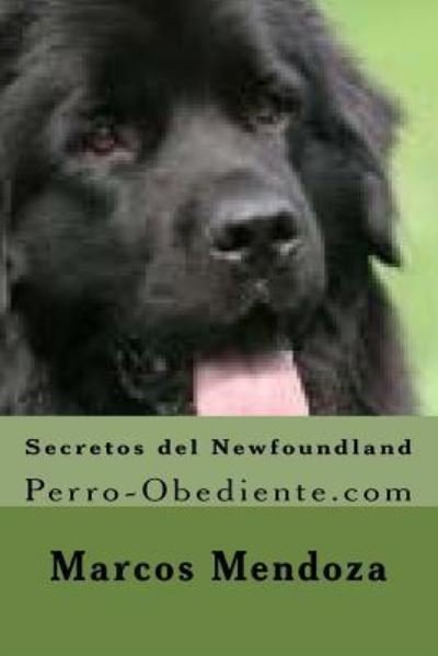 Cover for Marcos Mendoza · Secretos del Newfoundland (Pocketbok) (2016)