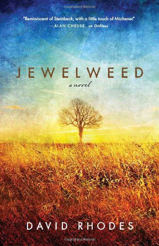 Cover for David Rhodes · Jewelweed: A Novel (Gebundenes Buch) [First edition] (2013)