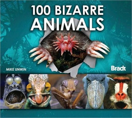 100 Bizarre Animals - Mike Unwin - Książki - Bradt Travel Guides - 9781841623009 - 19 października 2010