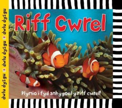 Cover for Sarah Powell · Cyfres Dwlu Dysgu: Riff Cwrel (Hardcover Book) (2014)