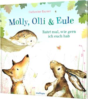 Cover for Rayner · Molly, Olli &amp; Eule (Book)