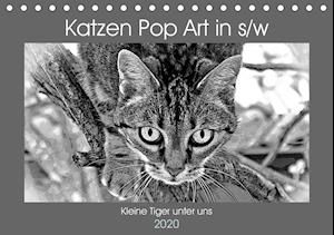 Cover for Bönner · Katzen Pop Art in s/w - Kleine T (Book)