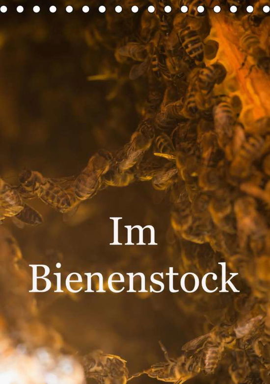 Im Bienenstock (Tischkalender 2 - Bangert - Books -  - 9783671776009 - 