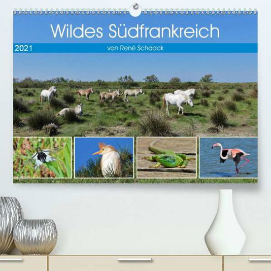 Cover for Schaack · Wildes Südfrankreich (Premium, (Bok)