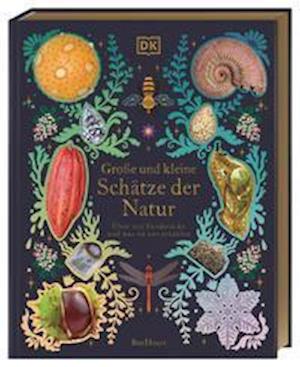 Große und kleine Schätze der Natur - Ben Hoare - Książki - Dorling Kindersley Verlag - 9783831044009 - 22 marca 2022