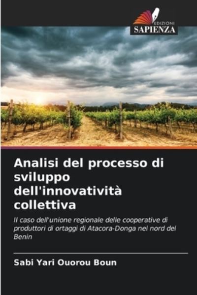 Cover for Sabi Yari Ouorou Boun · Analisi del processo di sviluppo dell'innovativita collettiva (Paperback Book) (2021)