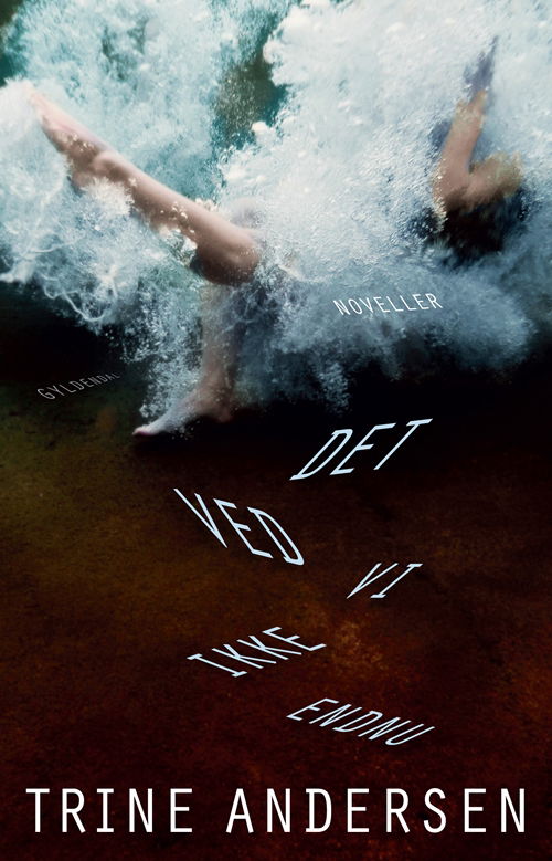 Cover for Trine Andersen · Det ved Vi Ikke Endnu (Sewn Spine Book) (2011)