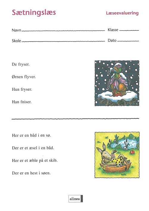 Læseevaluering: Læseevaluering, Sætningslæs á 10 stk. - Dorthe Klint Petersen Ina Borstrøm - Bøker - Alinea - 9788723014009 - 19. oktober 2004