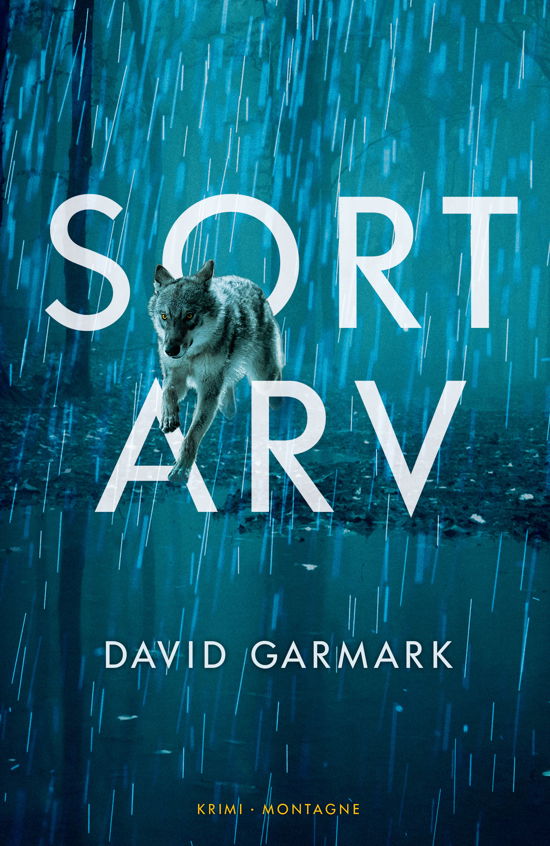 Cover for David Garmark · Sort arv (Paperback Book) [1st edition] (2020)