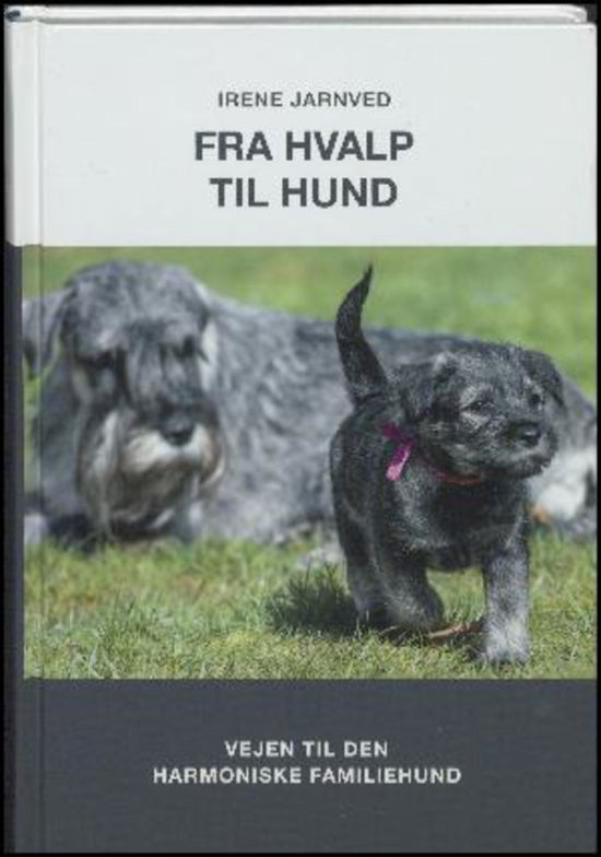 Cover for Irene Jarnved · Fra hvalp til hund (Indbundet Bog) [1. udgave] (2017)