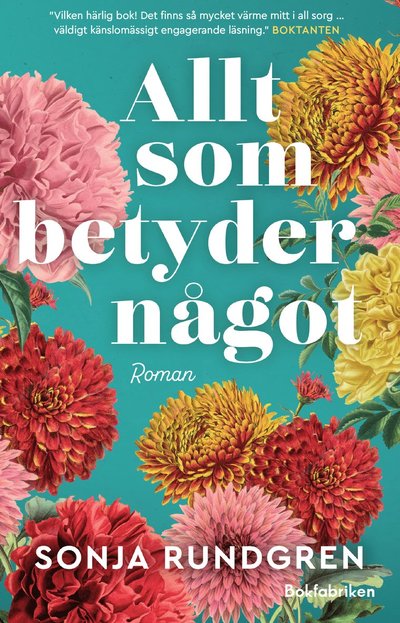 Cover for Sonja Rundgren · Allt som betyder något (Hardcover Book) (2025)