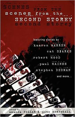 Scenes from the Second Storey - Stephanie Campisi - Books - Morrigan Books - 9789186865009 - March 3, 2011