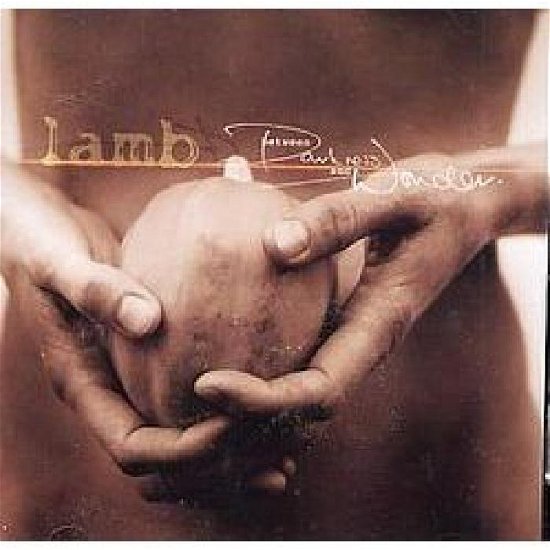 Cover for Lamb · Between Darkness and Wonder (CD) (2003)
