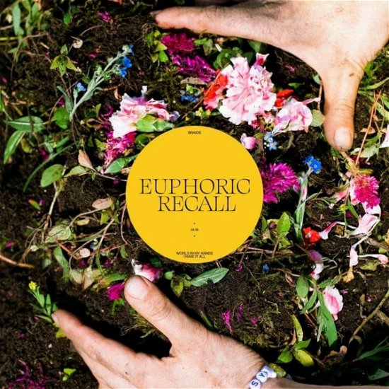 Cover for Braids · Euphoric Recall (LP) (2023)
