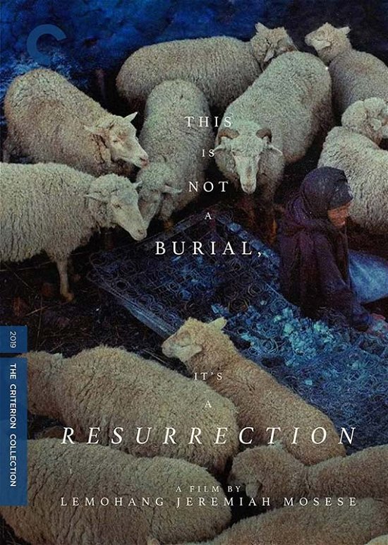 Cover for Criterion Collection · This is Not a Burial It's a Resurrection (DVD) (2023)
