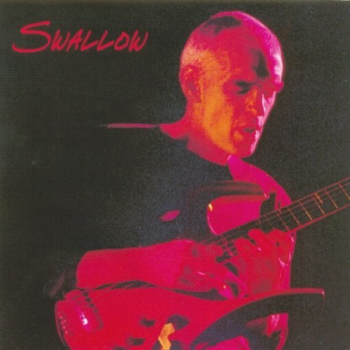Cover for Steve Swallow · Swallow (LP) (2005)
