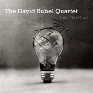 Into the Dark - David Rubel Quartet - Musik - DAVID RUBEL - 0753677585010 - 5. november 2013