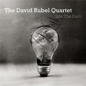 Into the Dark - David Rubel Quartet - Musik - DAVID RUBEL - 0753677585010 - November 5, 2013
