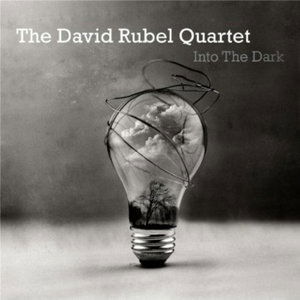 Into the Dark - David Rubel Quartet - Musiikki - DAVID RUBEL - 0753677585010 - tiistai 5. marraskuuta 2013