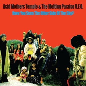 Cover for Acid Mothers Temple · Have Youseen the Other Side of the Sky? (LP) [Limited edition] (2015)