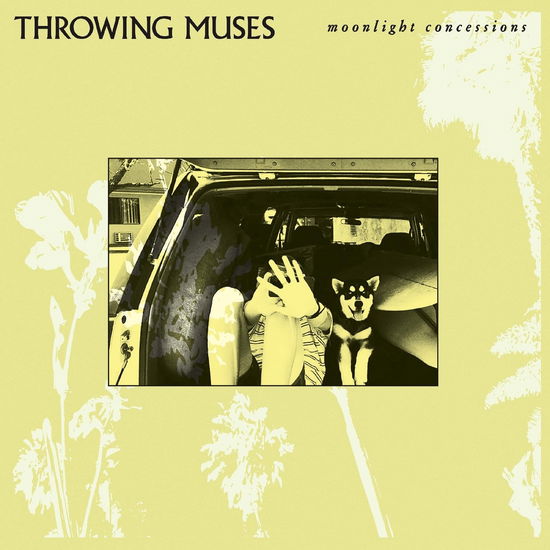Cover for Throwing Muses · Moonlight Concessions (LP) (2025)