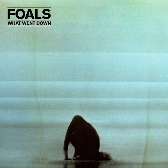 What Went Down - Foals - Musique - WEA - 0825646075010 - 28 août 2015