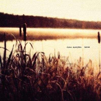 Cover for Johan Agebjorn · Notes (LP) (2015)