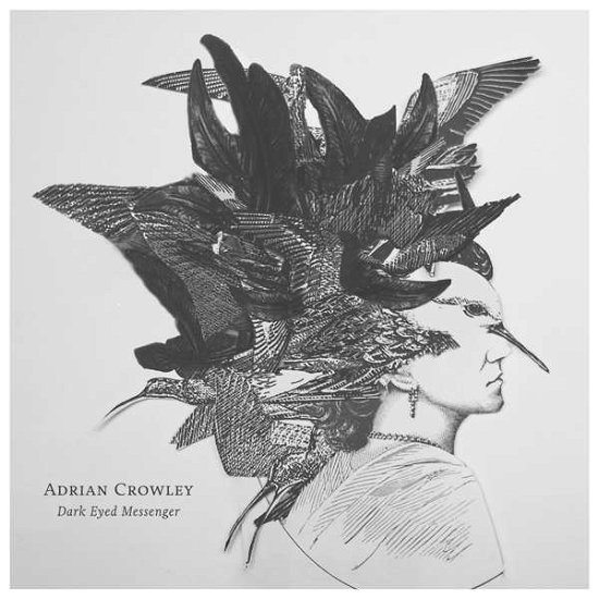 Cover for Adrian Crowley · Dark Eyed Messenger (LP) (2017)