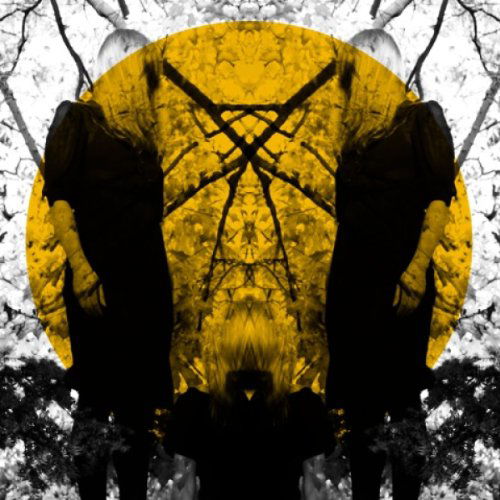 Cover for Austra · Feel It Break (LP) (2011)
