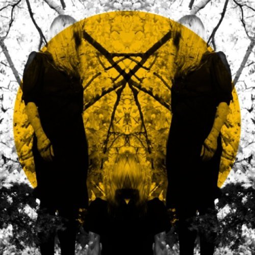 Cover for Austra · Feel It Break (LP) (2011)