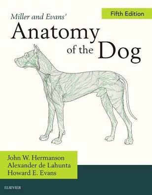 Cover for John Hermanson · Miller's Anatomy of the Dog (Hardcover Book) (2019)
