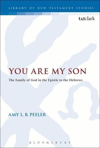 Cover for Peeler, Associate Professor Amy L. B.  (Wheaton College, USA) · You Are My Son: The Family of God in the Epistle to the Hebrews - The Library of New Testament Studies (Paperback Book) (2015)