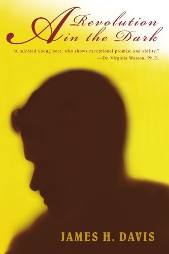 Cover for James Davis · A Revolution in the Dark (Paperback Bog) (2007)