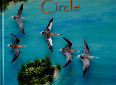 Circle - Jeannie Baker - Książki - Walker Books Ltd - 9781406338010 - 2 czerwca 2016