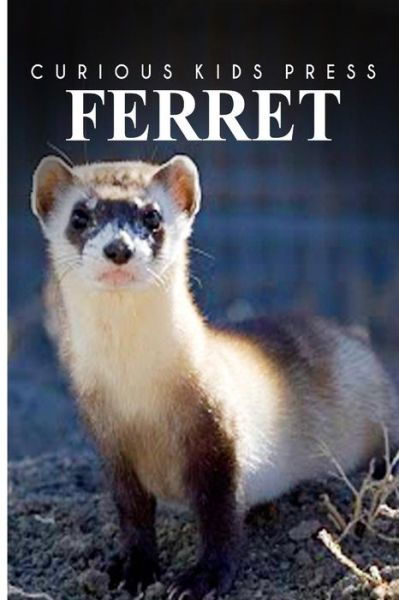 Cover for Curious Kids Press · Ferret - Curious Kids Press: Kids Book About Animals and Wildlife, Children's Books 4-6 (Paperback Book) (2014)