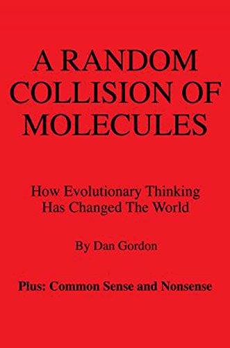 Cover for Dan Gordon · A Random Collision of Molecules (Paperback Book) (2014)