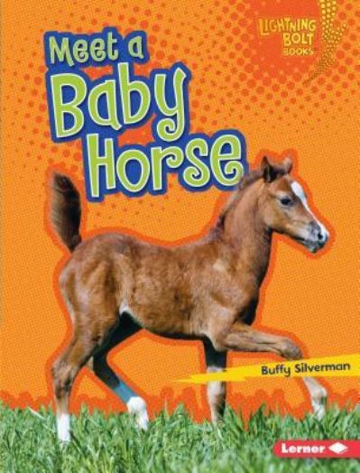 Cover for Buffy Silverman · Meet a Baby Horse (Book) (2016)