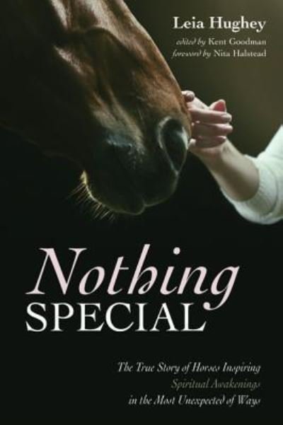 Cover for Leia Hughey · Nothing Special (Pocketbok) (2019)