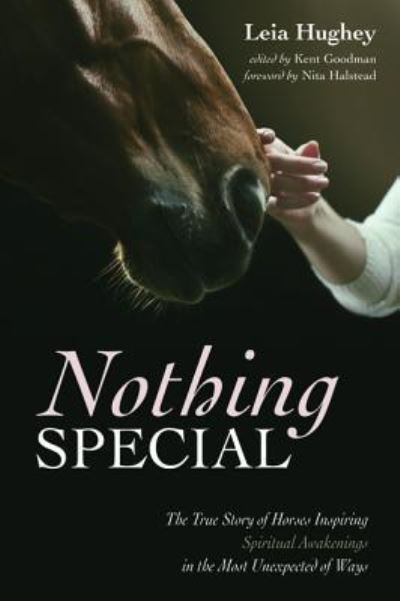 Nothing Special - Leia Hughey - Books - Resource Publications - 9781532675010 - April 4, 2019