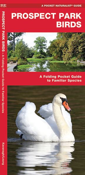 Cover for James Kavanagh · Prospect Park Birds: A Folding Pocket Guide to Familiar Species - A Pocket Naturalist Guide (Pamphlet) (2018)